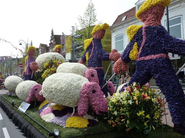 Цветочные фестивали Нидерландов
