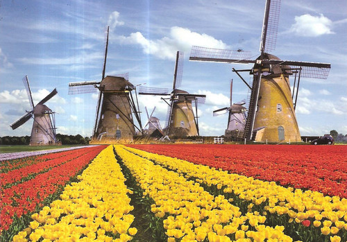 Сельское хозяйство и климат Нидерландов