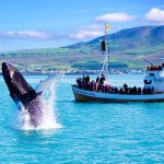 Куда поехать туристу в Исландии